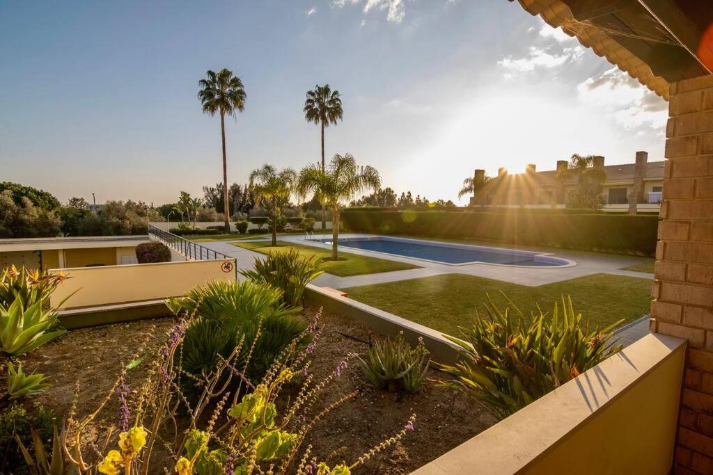 Amazing Apartment With Pool View