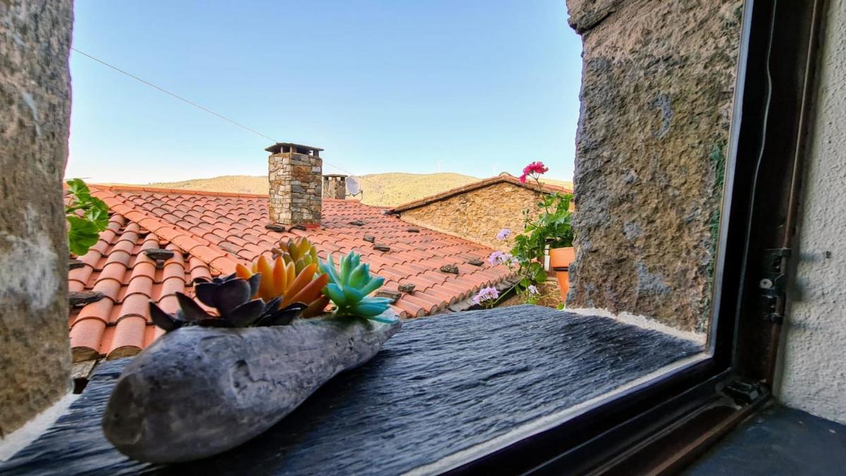Casa Catraia Gondramaz no Pulmão da Serra da Lousã