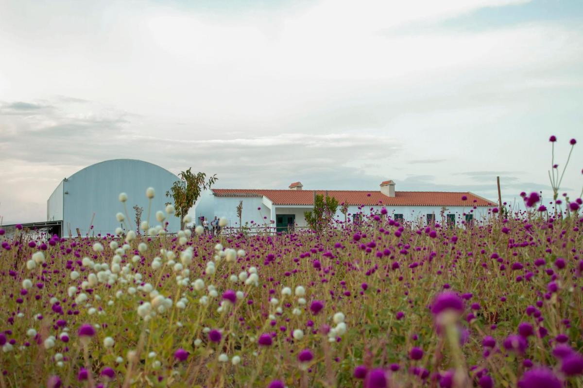 Monte de Palma- Quinta Biodinâmica Momentos Únicos