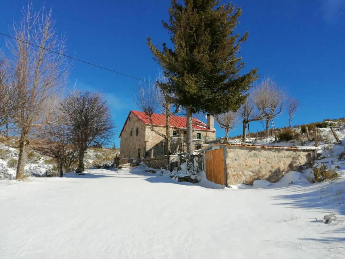 Comfortable house in Cortes do Meio with garden