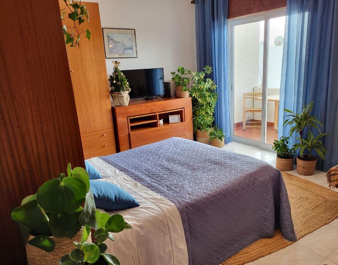 Studio Apartment with Sea View & Fibre Internet