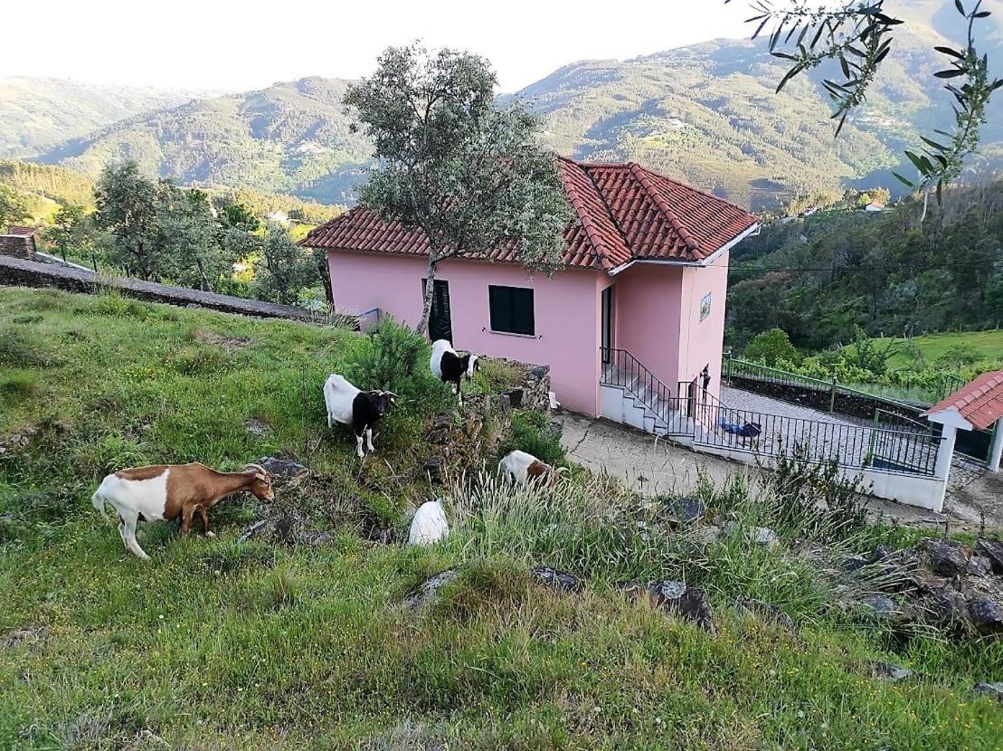 Ecorustics stay - Casa Ester