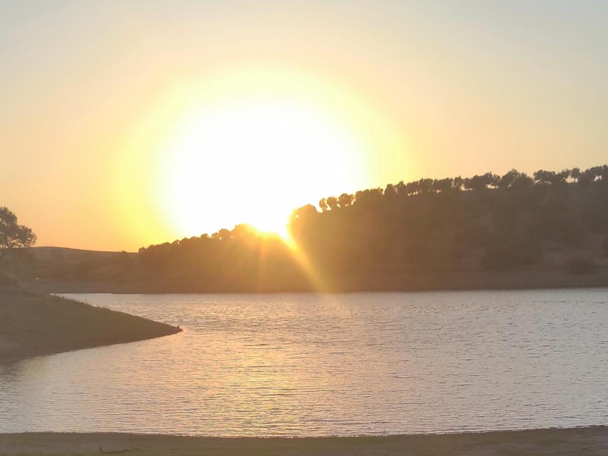 Nova Quinta Moderna TORRAMO em Oliveiras, Campo de Laranjas, na Nacional 2, Alentejo 13750 m2
