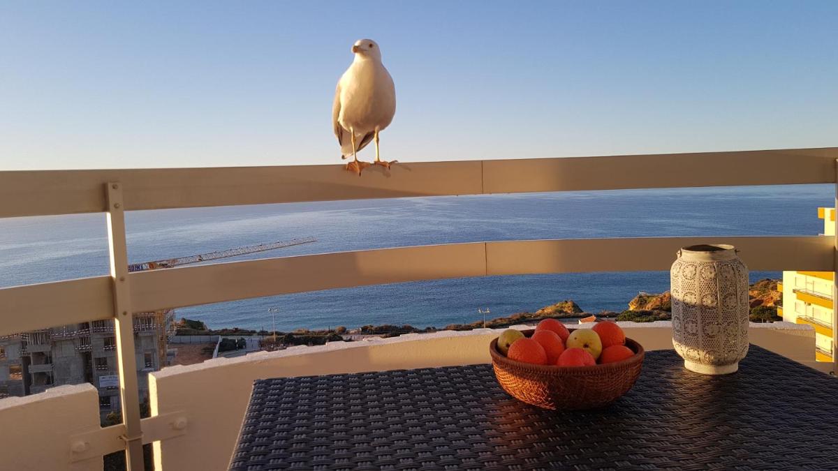 Ma vue mer en Algarve