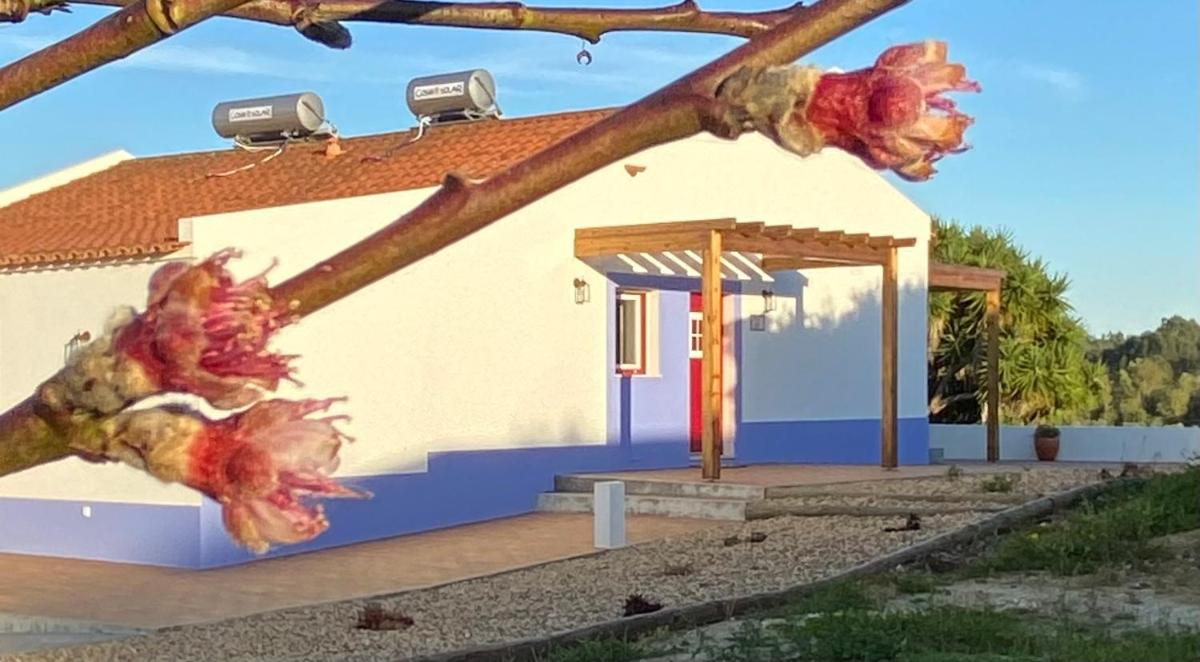 Monte da Caniveta - Casa do Avô