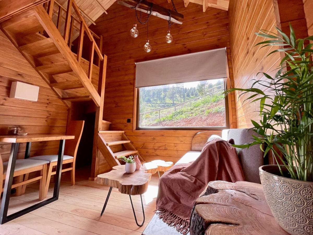 Mountain Eco Shelter 5
