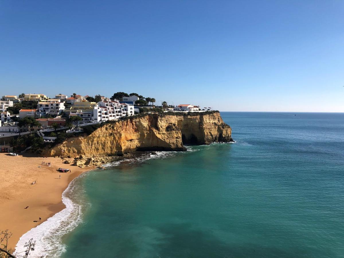 Ocean & Beach View