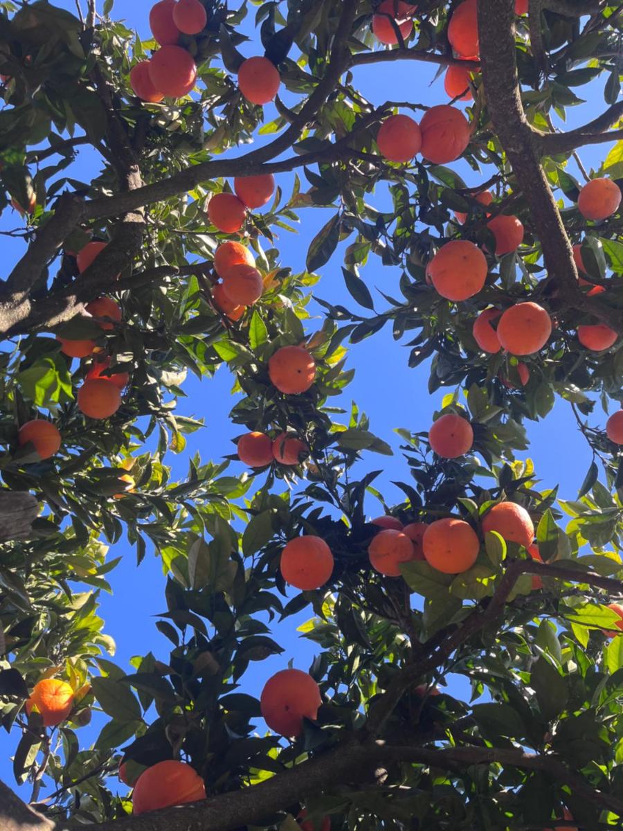 Paraíso a Dois em Estremoz