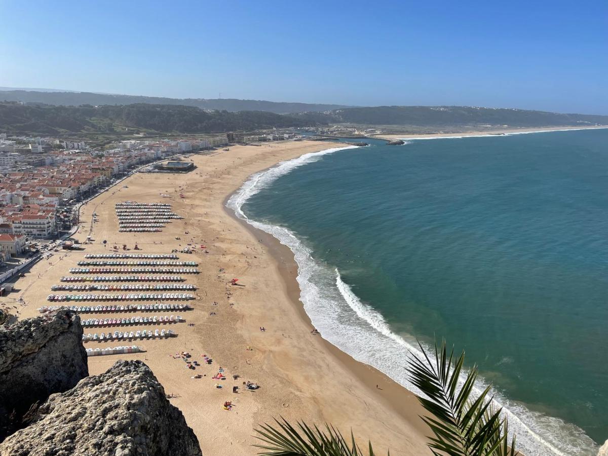 Peixinho Magnifique Appartement