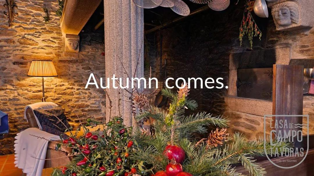 Casa de Campo dos Távoras