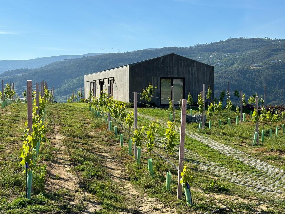 Refúgio Verde Douro