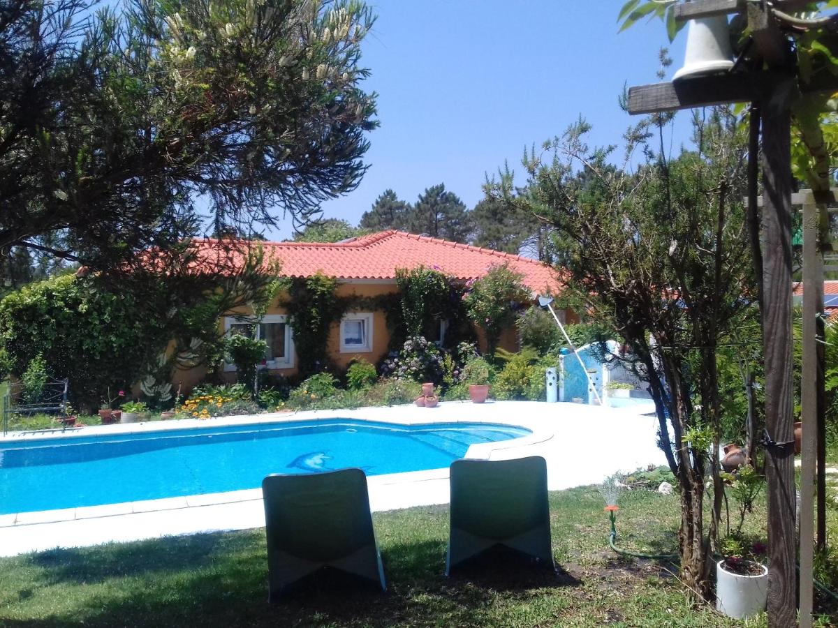 Comfortable studio in Nazare with shared pool 30 m²