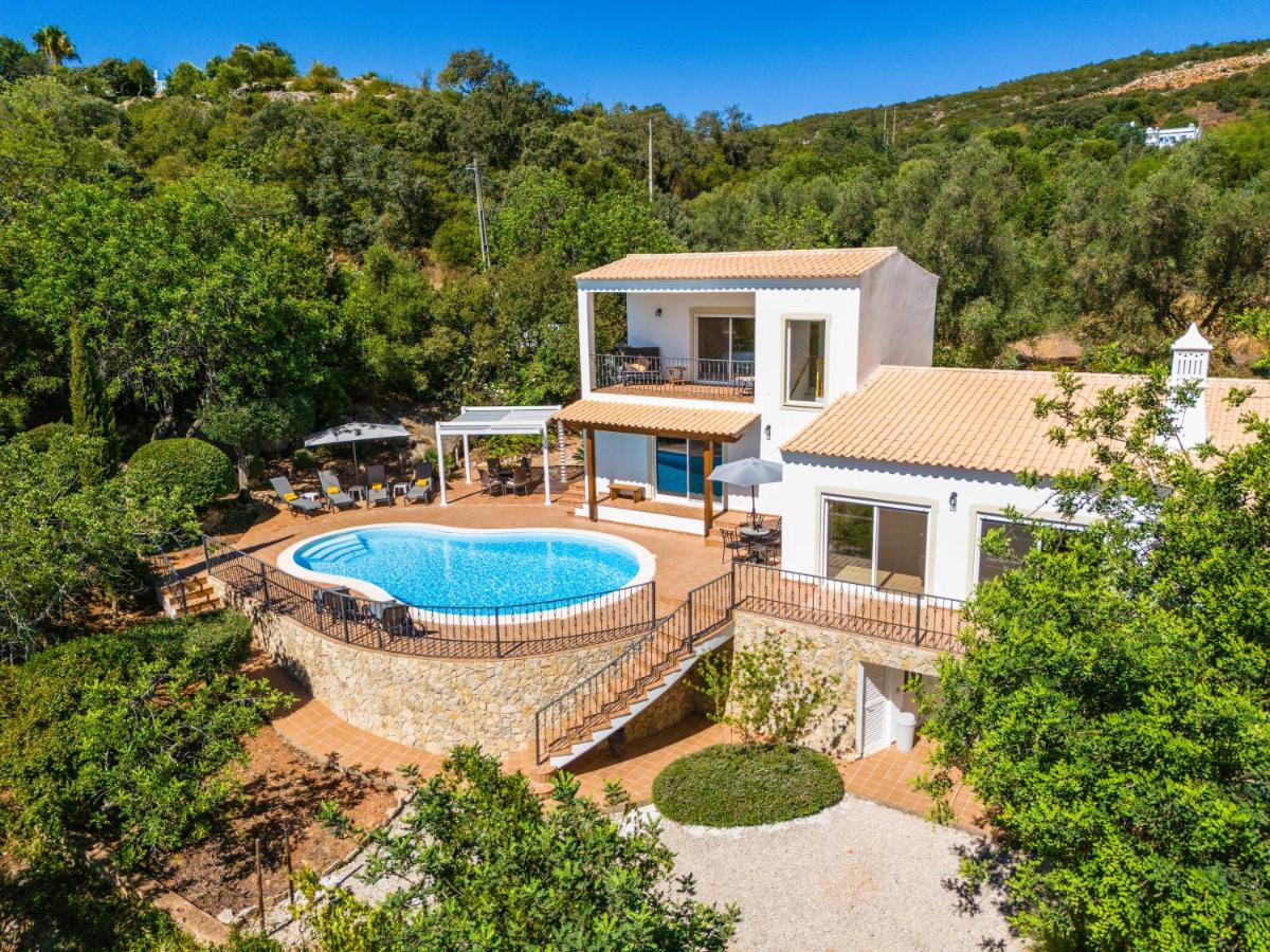 Casa Concha by Portucasa