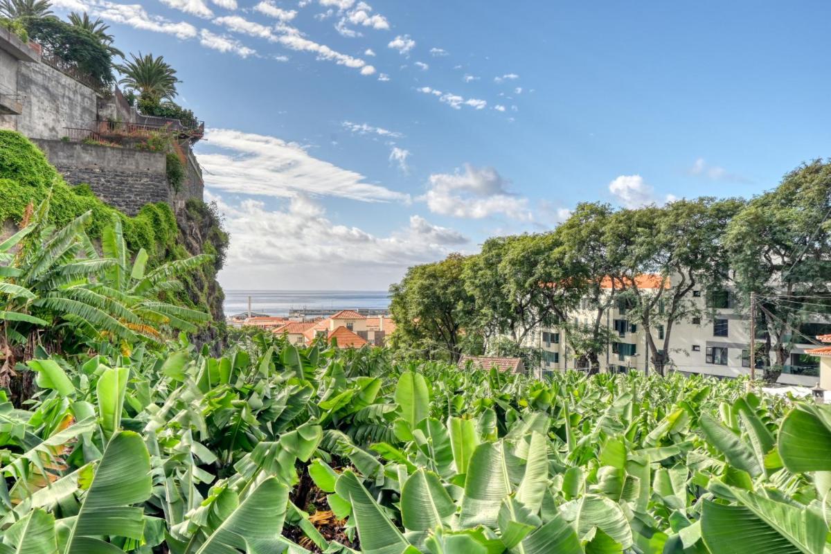 Villa Rosa, a Home in Madeira
