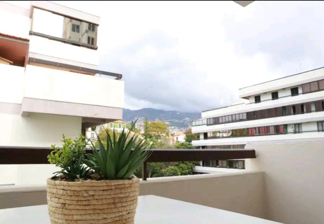 Vista Infante Apartments